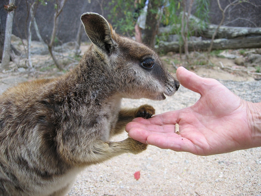 099 Granite Gorge.jpg